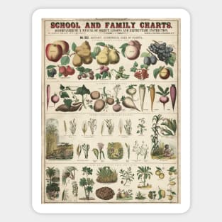 Healthy food habits agriculture educational vintage chart poster Sticker